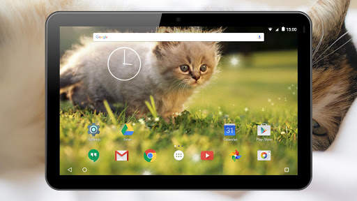 Kittens Live Wallpaper screenshot 12