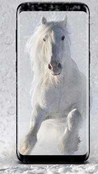 Running Horse pictures and Live wallpaper screenshot 2