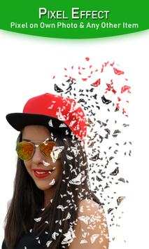 Pixel Art : Pixel Perfect Pixel Effects On Photos screenshot 5