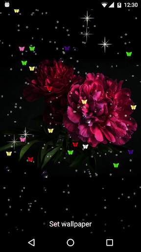 HD Flowers Live Wallpaper screenshot 3