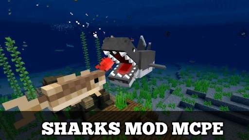 Sharks Mod for Minecraft pe screenshot 2