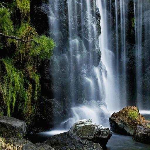 BF Nature Sceneries 58.0