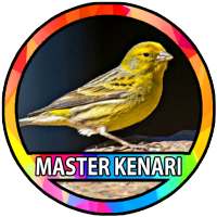 Kicau Burung Kenari