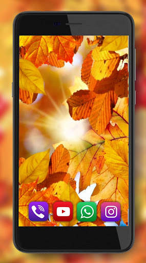 Autumn Sun Live Wallpaper screenshot 3