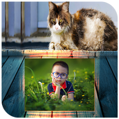 Cat Photo Frames icon