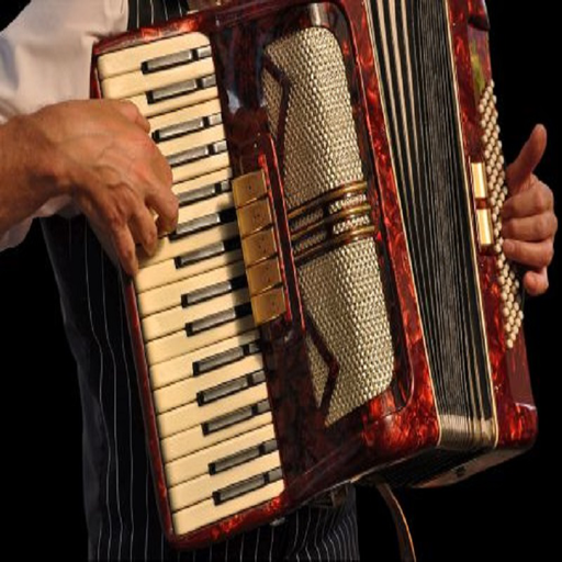 Learn to play accordion with tutorials screenshot 2