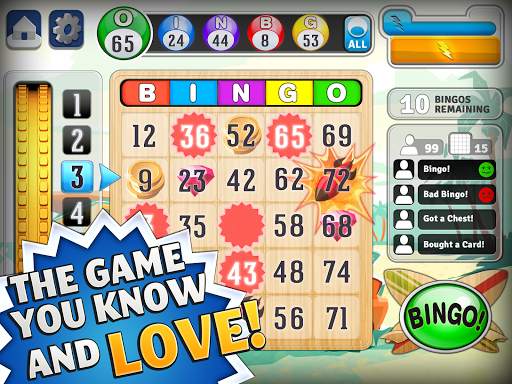 Bingo™ screenshot 2
