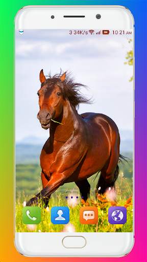 Horse Wallpaper HD screenshot 11