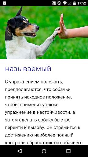 Тренировочный курс для собак скриншот 4