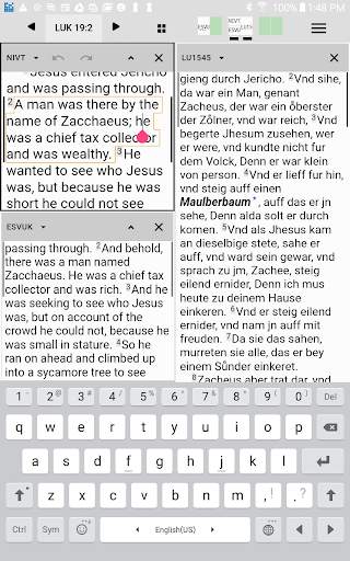 Paratext Lite screenshot 3