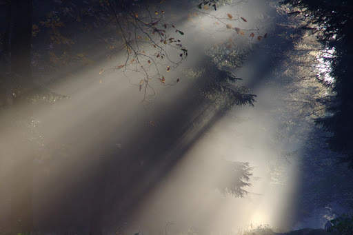 Fog Photo Frames screenshot 3