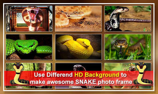 Snake Dual Photo Frames screenshot 3