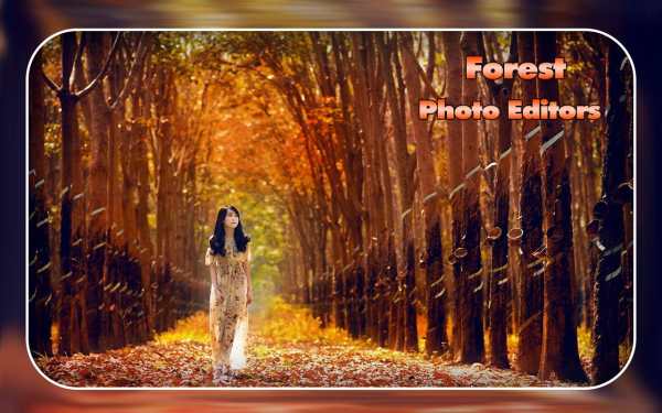 Forest Photo Editor screenshot 2