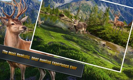 Deer Sniper Hunter: Wild Animal Hunting Game screenshot 1