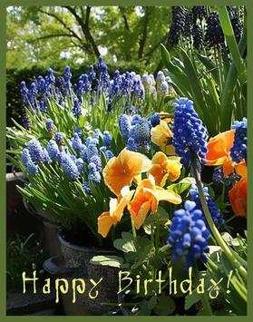 Birthday Flowers Cards, Social App screenshot 5