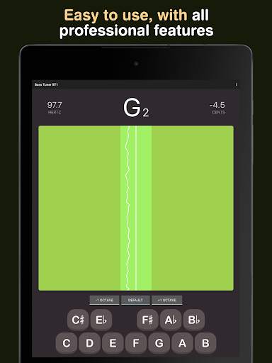 Bass Tuner BT1 screenshot 14