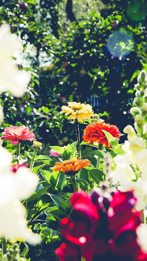Beautiful Spring Garden APUS Live Wallpaper screenshot 7