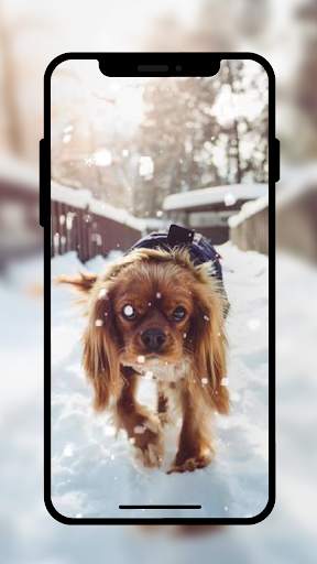 Hd Live Wallpaper screenshot 4