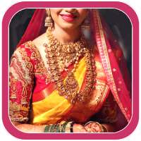 South Indian Jewelry on Sarees icon