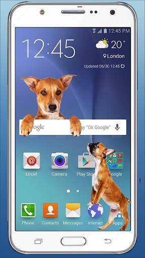 Cute Dog in Phone Funny walks screenshot 1