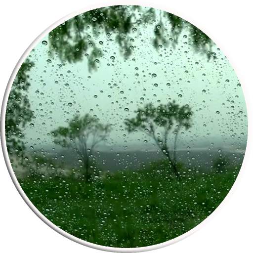 Rain Video Live Wallpaper 4.0