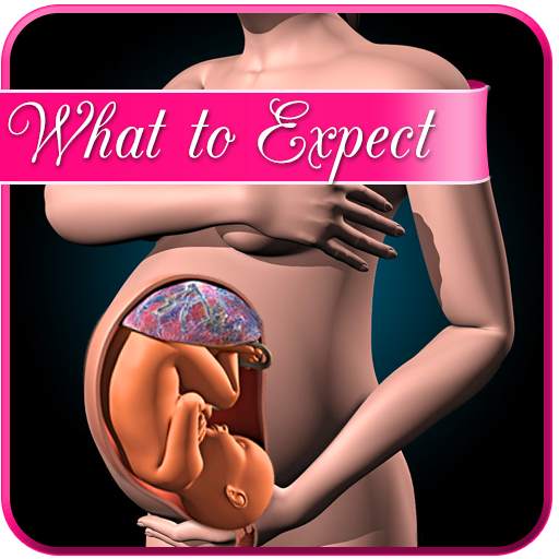 Pregnancy app : weekly expecta 1.0.2