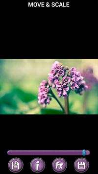 Spring Flowers Backgrounds HD screenshot 5