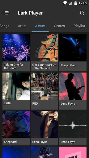 Lark Player Theme - Night screenshot 3