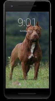 Pitbull Dog HD Lock Screen screenshot 2