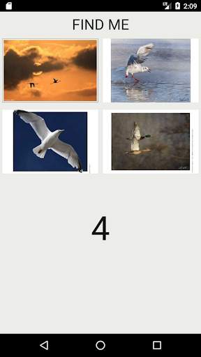 Amazing Animals : Bird Quiz स्क्रीनशॉट 3