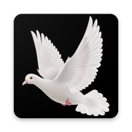 A Bird Chase icon