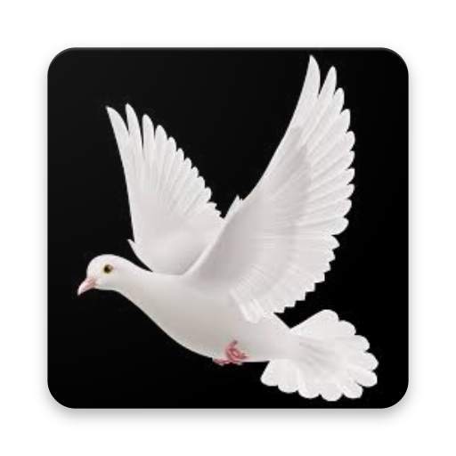 A Bird Chase 1.3
