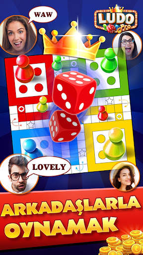 Ludo Pro - kızma birader oyunu screenshot 1