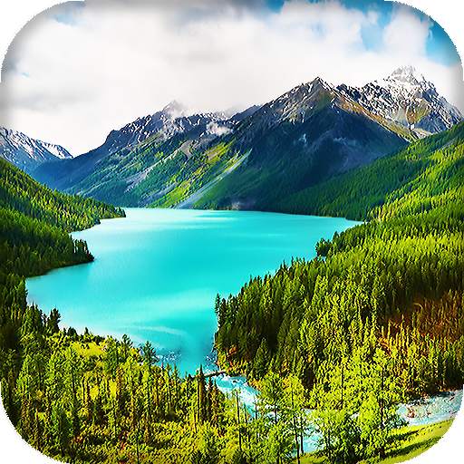 Nature Live Wallpaper : 7fon & LWP 16.0
