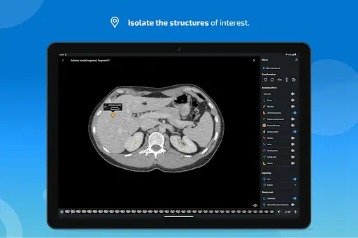 e-Anatomy screenshot 12