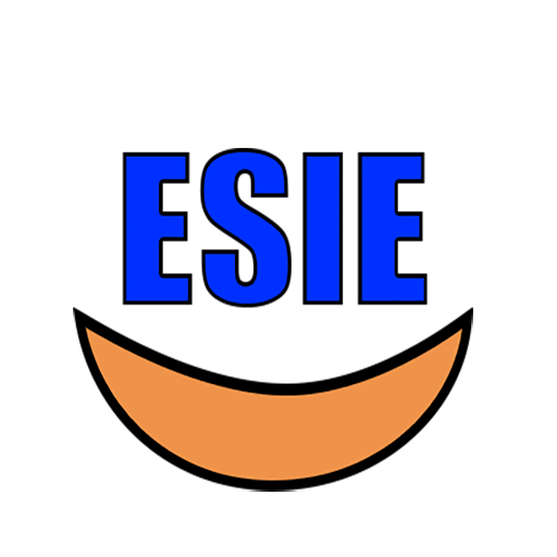 ESIE Niger icon