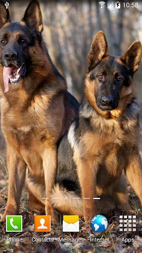 Dogs Wallpaper screenshot 2