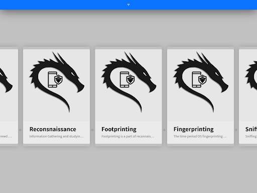 Learn Ethical Hacking Course Offline screenshot 12