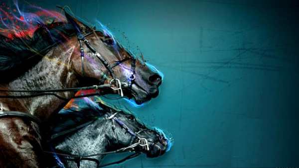 Free Horse Games screenshot 1
