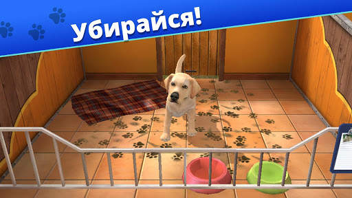 Pet World - приют для животных скриншот 1