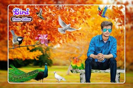 Bird Photo Editor screenshot 1
