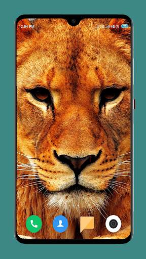 Wild Animal Wallpaper 4K 8 تصوير الشاشة