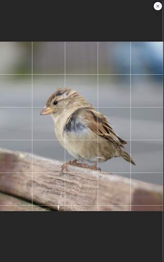 Drawing Grid 9 تصوير الشاشة