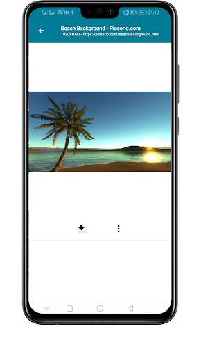 image downloader screenshot 3