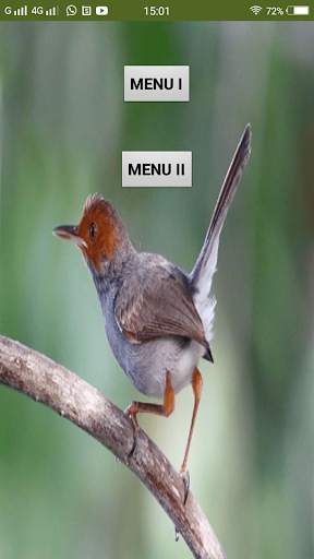Suara pikat burung prenjak screenshot 1