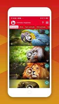 Best Animals Ringtones screenshot 1