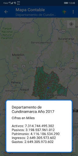 Contaduría General de la Nación screenshot 6