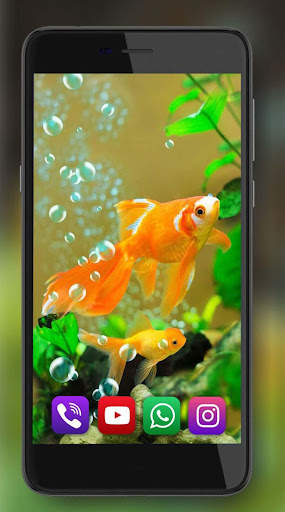 Aquarium Gold Fishes LWP 3 تصوير الشاشة
