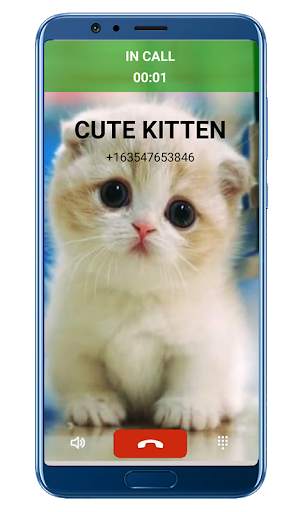 Fake Call Video Cat - simulator screenshot 2