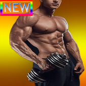 BIG BOY BICEPS WORKOUT:TIPS icon